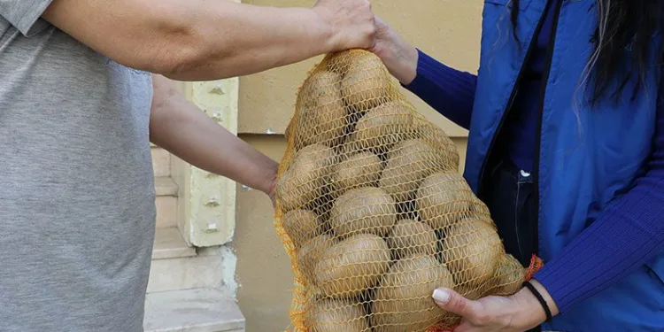 Vatandaşın sofrasına 30 ton patates
