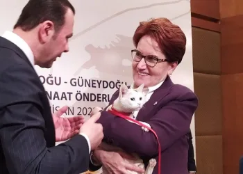 “Seçmeni velinimet görürüm”