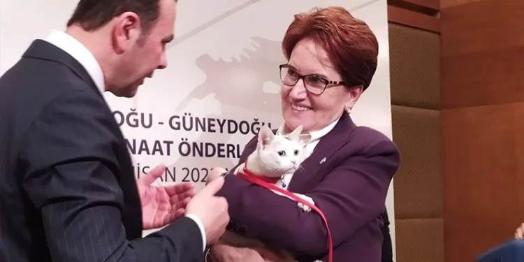 “Seçmeni velinimet görürüm”