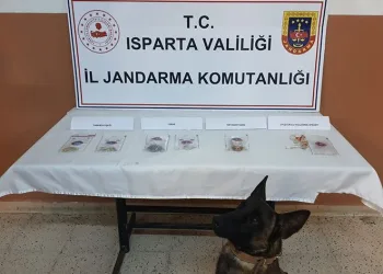 Uyuşturucu operasyonlarında 15 kişi tutuklandı