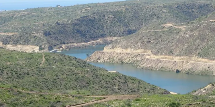 Manavgat’ta yanan ormanlar yeniden filizleniyor