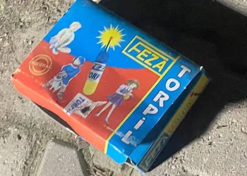 Bursa’da 2 arkadaşın oyunu polisi harekete geçirdi