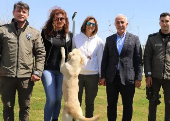 Akdeniz’de can dostlara özel etkinlik