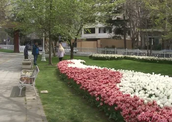 İstanbul’da lale şöleni