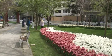 İstanbul’da lale şöleni