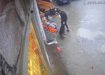 Köpeğin çocuğa saldırma anı kamerada