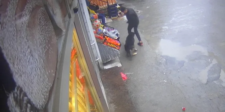 Köpeğin çocuğa saldırma anı kamerada