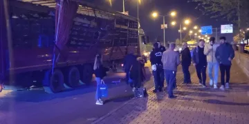 Batman’da facia son anda önlendi