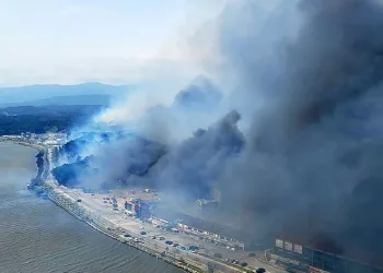 Güney Kore’de orman yangını