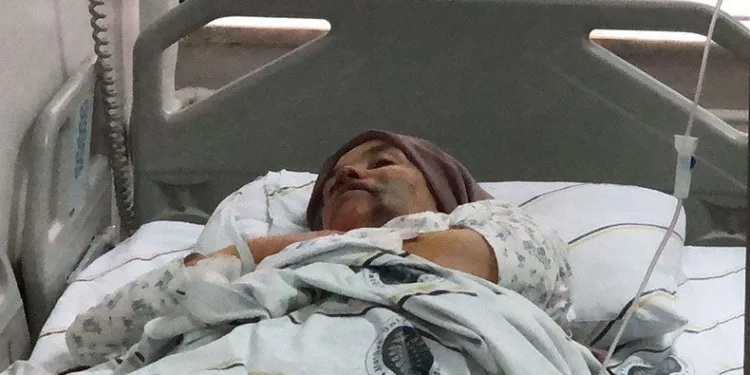 Kurt dehşet saçtı, ağır yaralılar var