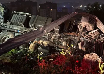 İplik yüklü kamyon ağaçlık alana devrildi