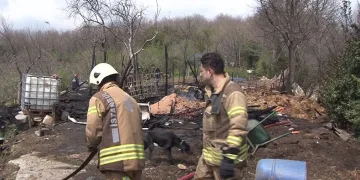 Ahır yangınında 2 hayvan telef oldu