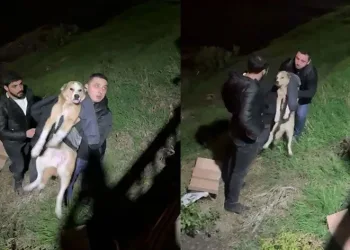 İftara giderken sokak köpeğinin hayatını kurtardı
