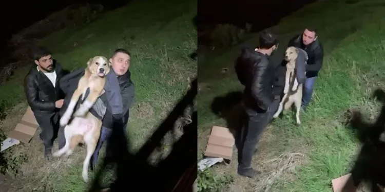 İftara giderken sokak köpeğinin hayatını kurtardı