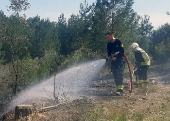 Temizlik ateşi ormanı yakıyordu