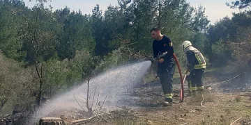 Temizlik ateşi ormanı yakıyordu