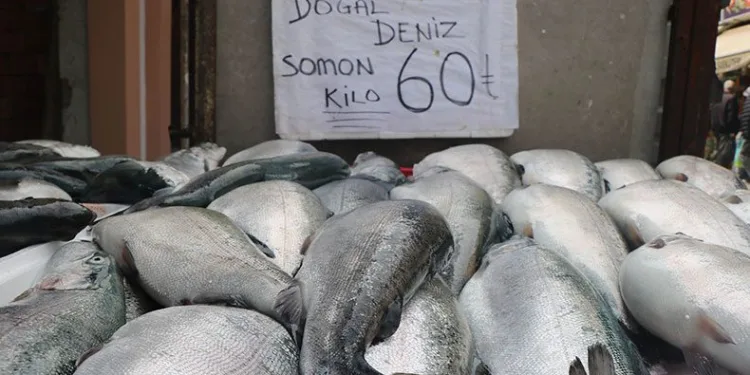 Mevsim balıklarının yerini kültür balıkları aldı