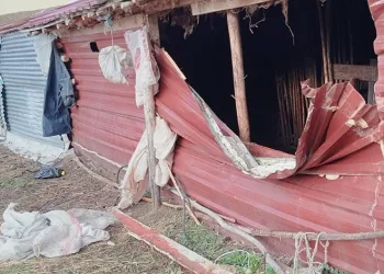 Ahıra giren ayı, tekeyi götürdü