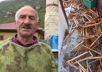 Evini talan eden ayıya tepkisi şaşırttı