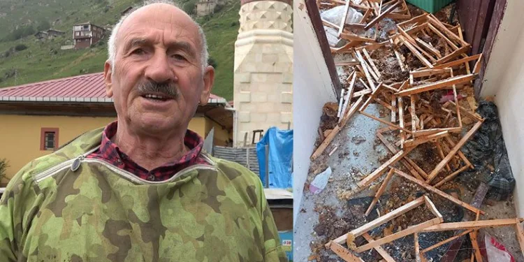 Evini talan eden ayıya tepkisi şaşırttı