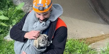 AFAD, sıkışan yavru köpeği kurtardı