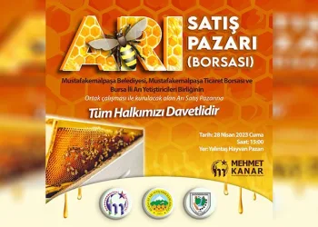 Türkiye’nin ilk arı pazarı Mustafakemalpaşa’da