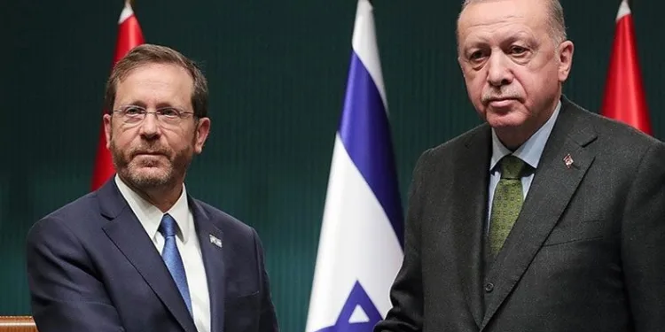 Cumhurbaşkanı Erdoğan, İsrail Cumhurbaşkanı ile görüştü