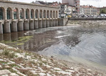 Yavru balıklar su yüzeyine çıktı