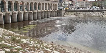 Yavru balıklar su yüzeyine çıktı