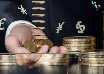 Yerli yatırımcıların finansal varlıkları