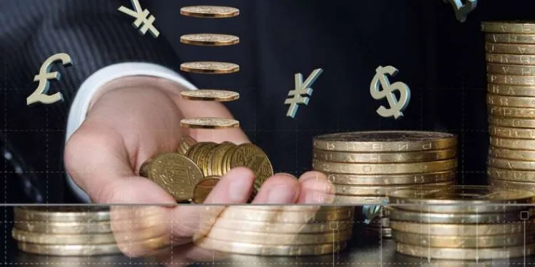 Yerli yatırımcıların finansal varlıkları