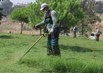 Park ve yeşil alanlar yaza hazırlanıyor