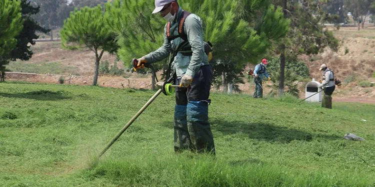 Park ve yeşil alanlar yaza hazırlanıyor