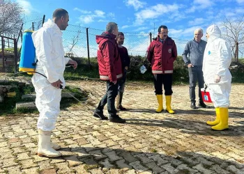 Kapatılan hayvan borsası tekrar açıldı