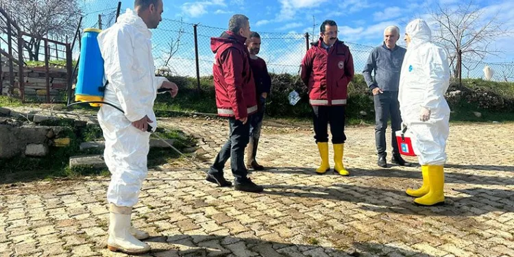 Kapatılan hayvan borsası tekrar açıldı