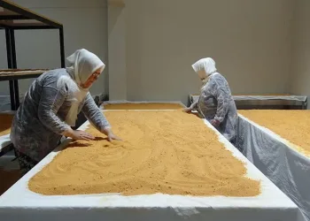 Kadınlar üretiyor, vatandaşa aracısız ulaşıyor