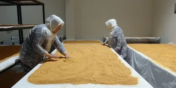 Kadınlar üretiyor, vatandaşa aracısız ulaşıyor