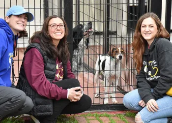 Hayvansever kadın barınaktaki köpekleri sahiplendi