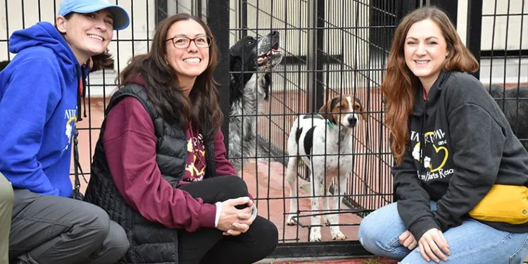 Hayvansever kadın barınaktaki köpekleri sahiplendi