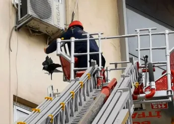 Bursa’da karga kurtarma operasyonu