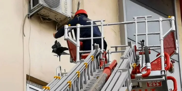 Bursa’da karga kurtarma operasyonu