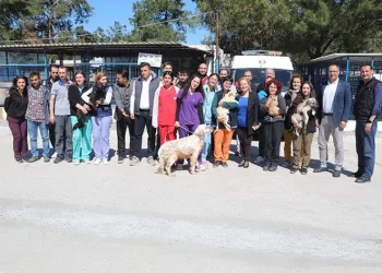 Dünya Veteriner Hekimler Günü