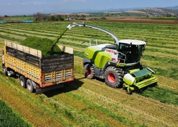 Üreticiler Hasat için sahaya indi