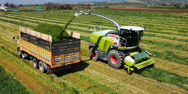 Üreticiler Hasat için sahaya indi