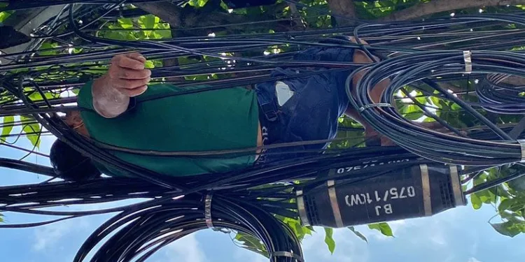 Elektrik tellerinin üzerinde uyuyakaldı