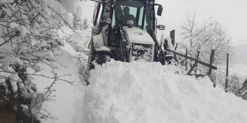 Giresun yaylalarında karla mücadele