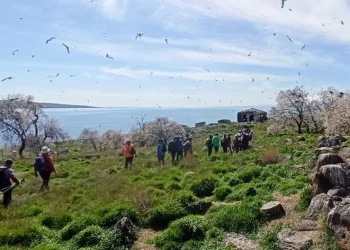 Doğaseverler Van Gölü’nü gezdi