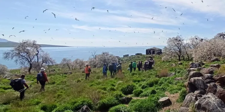 Doğaseverler Van Gölü’nü gezdi