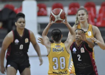 Melikgazi Kayseri, bin 780 sayı üretti