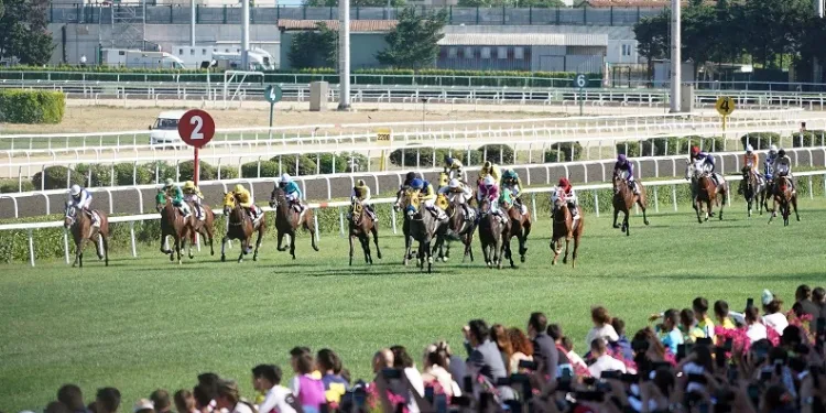 Safkanlar piste çıkıyor, at yarışı sezonu başlıyor